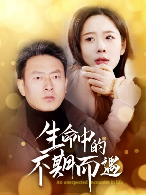 生命中的不期而遇（35集）庄汶汐