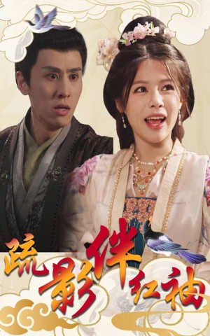 疏影伴红袖（40集）右智园  王寒阳