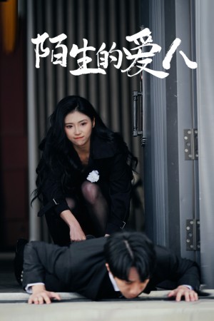 陌生的爱人（60集）骆虹宇