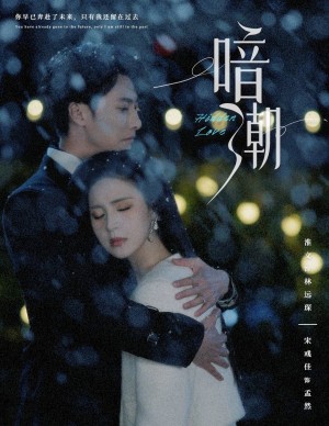 暗潮（暗流）（58集）宋彧佳  蹇代莉