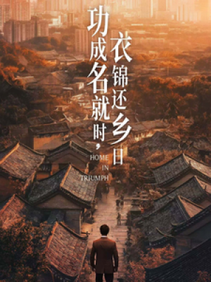 功成名就时衣锦还乡日（60集）胡曦
