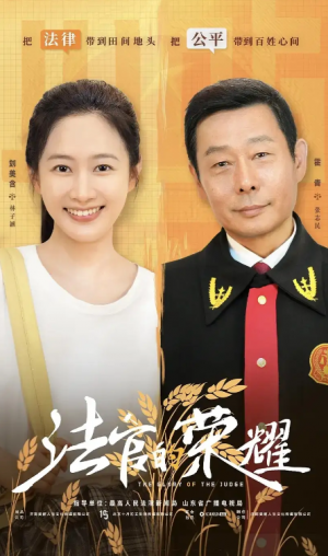 法官的荣耀（5集全）刘美含