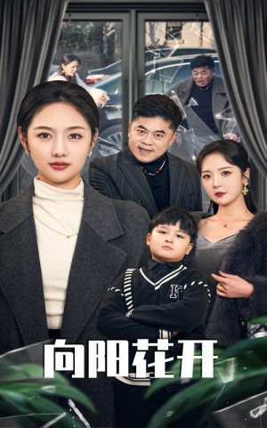 溺爱的代价（向阳花开）（40集）李媛菁  李明