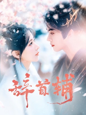 辞首辅（80集）杨弋墨