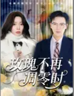 玫瑰不再凋零时（73集）金珊&随嘉兴