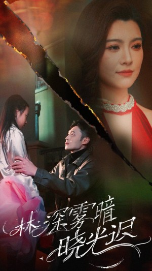 林深雾暗晓光迟（50集）陈孟奇