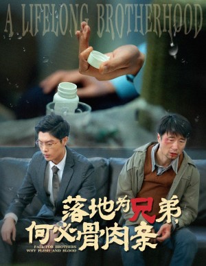 落地为兄弟何必骨肉亲（落地为兄弟，何必骨肉亲）（60集）