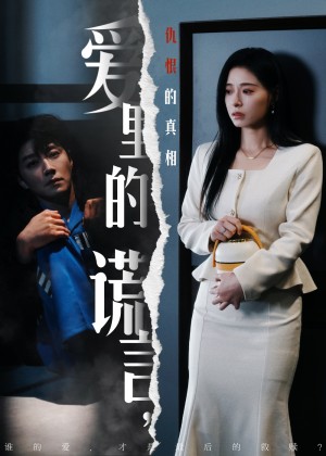 爱里的谎言仇恨的真相（爱里的谎言，仇恨的真相）（47集)宋晨＆韩琪
