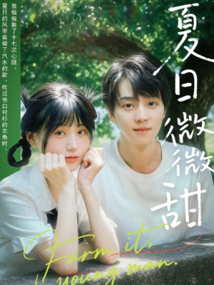 夏日微微甜（79集）苏泽林＆宋澎澎