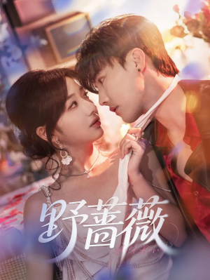 野蔷薇（60集）杜亚飞&杨殊予