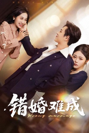 错婚难成（45集）彭程&武鸿蕊