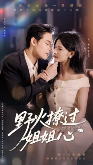 野火撩过姐姐心（97集）朱哲人&王槿