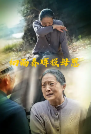 细雨春晖报母恩（30集）周婷&夏家顺