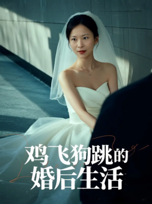 鸡飞狗跳的婚后生活（28集）曲海东＆杨静静