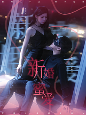 新婚蜜爱（80集）王朝阳  李丫丫