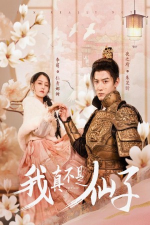 我真不是仙子（她是人间四月仙）（30集）仁青娜姆