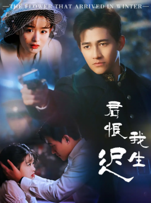 君恨我生迟（司令府就是我的家）（60集）李子锋＆李紫一