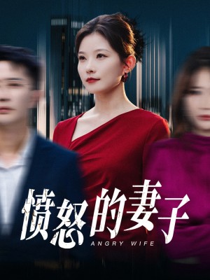 愤怒的妻子（30集）刘灿  彤彤