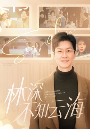 林深不知云海（84集）王鹏  钟莹玲