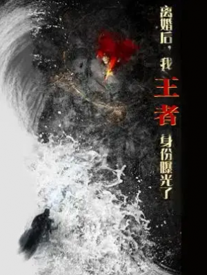 离婚后我王者身份曝光了（离婚后，我王者身份曝光了）（80集）廖芯&杨泽琳