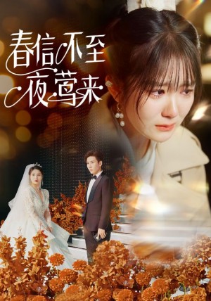 春信不至夜莺来（50集）冯易鑫