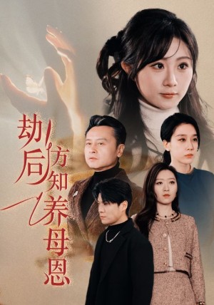 劫后方知养母恩（春风拂旧怨）（45集）王锦颖