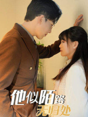 他似陌路无归处（30集）赵宏伟  胡雪艺
