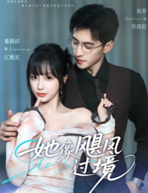 她像飓风过境（81集）象韵洁&杨寒