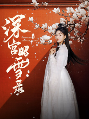 深宫昭雪录（52集）梅洋  仁青娜姆