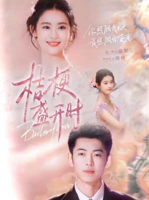 桔梗盛开时＆她的小桔梗（92集）李泉成＆翟一莹