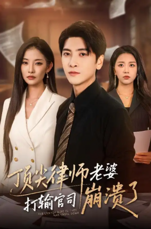 顶尖律师老婆打输官司崩溃了（爱至深处不回头）（73集）童欣&刘艺潼
