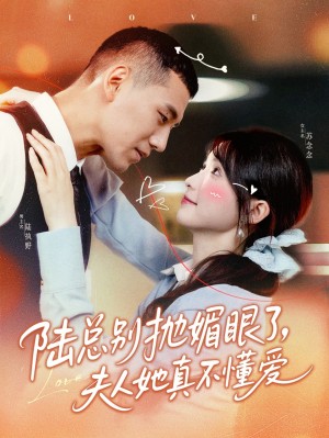 陆总别抛媚眼了夫人她真不懂爱（71集）王芸菲&王慧龙