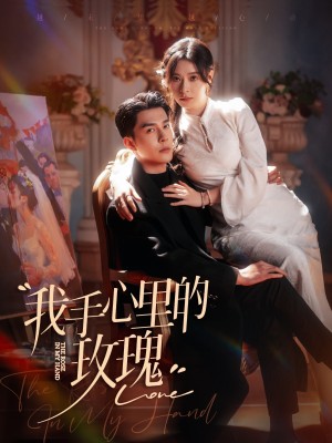 我手心里的玫瑰（91集）韩琪