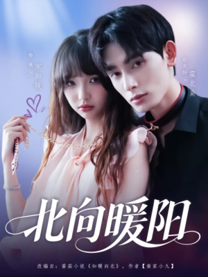 北向暖阳（80集）赵文轩＆杨琳