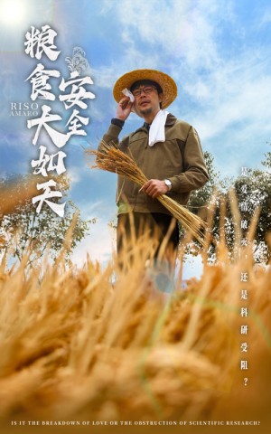 粮食安全大如天（43集）程娜